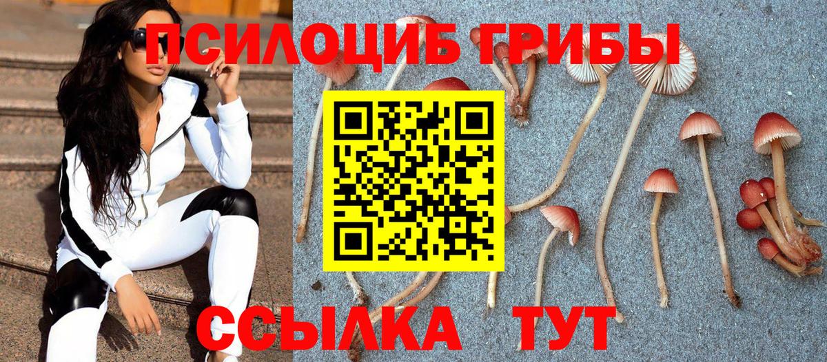 Аша  Галлюциногенные грибы Cubensis  Галлюциногенные грибы Psilocybe  Вход с VPN 