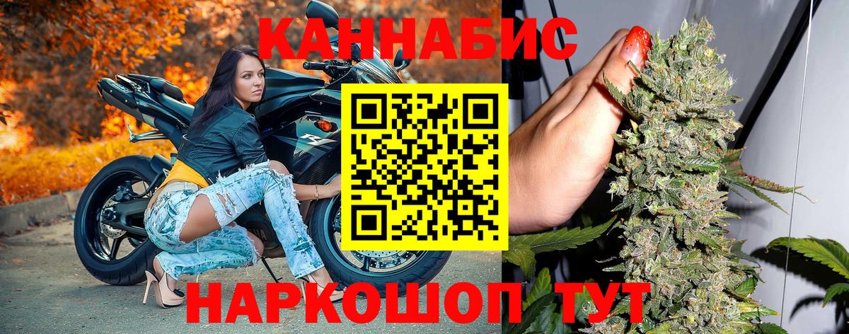 МАРИХУАНА сатива Аша